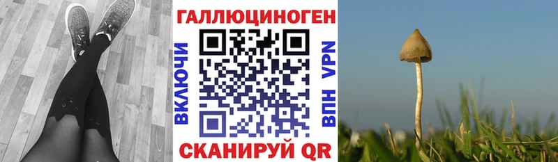 Галлюциногенные грибы прущие грибы  Купить  Ессентукская 